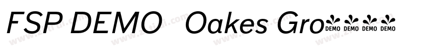 FSP DEMO   Oakes Gro字体转换